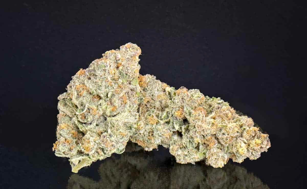 Super Boof Strain Review: A Newcomer with Balanced Effects